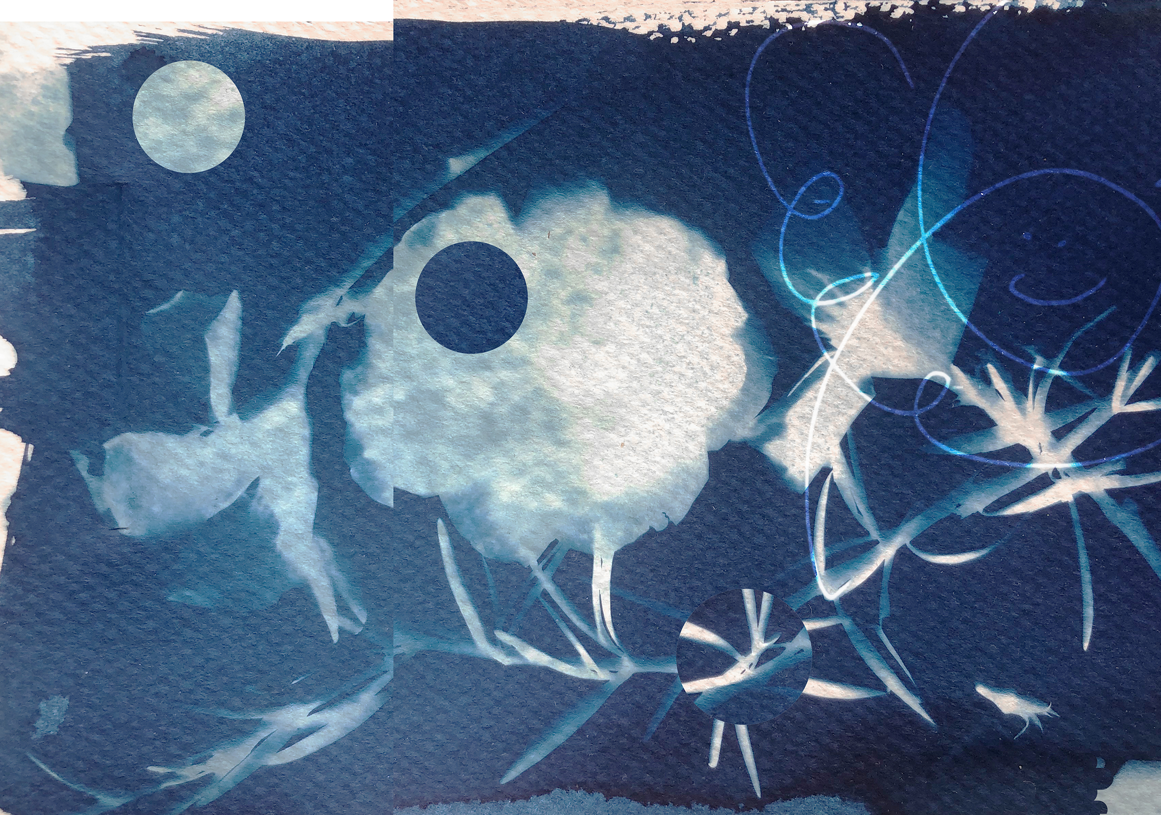 A Doktori Iskola februári hírei