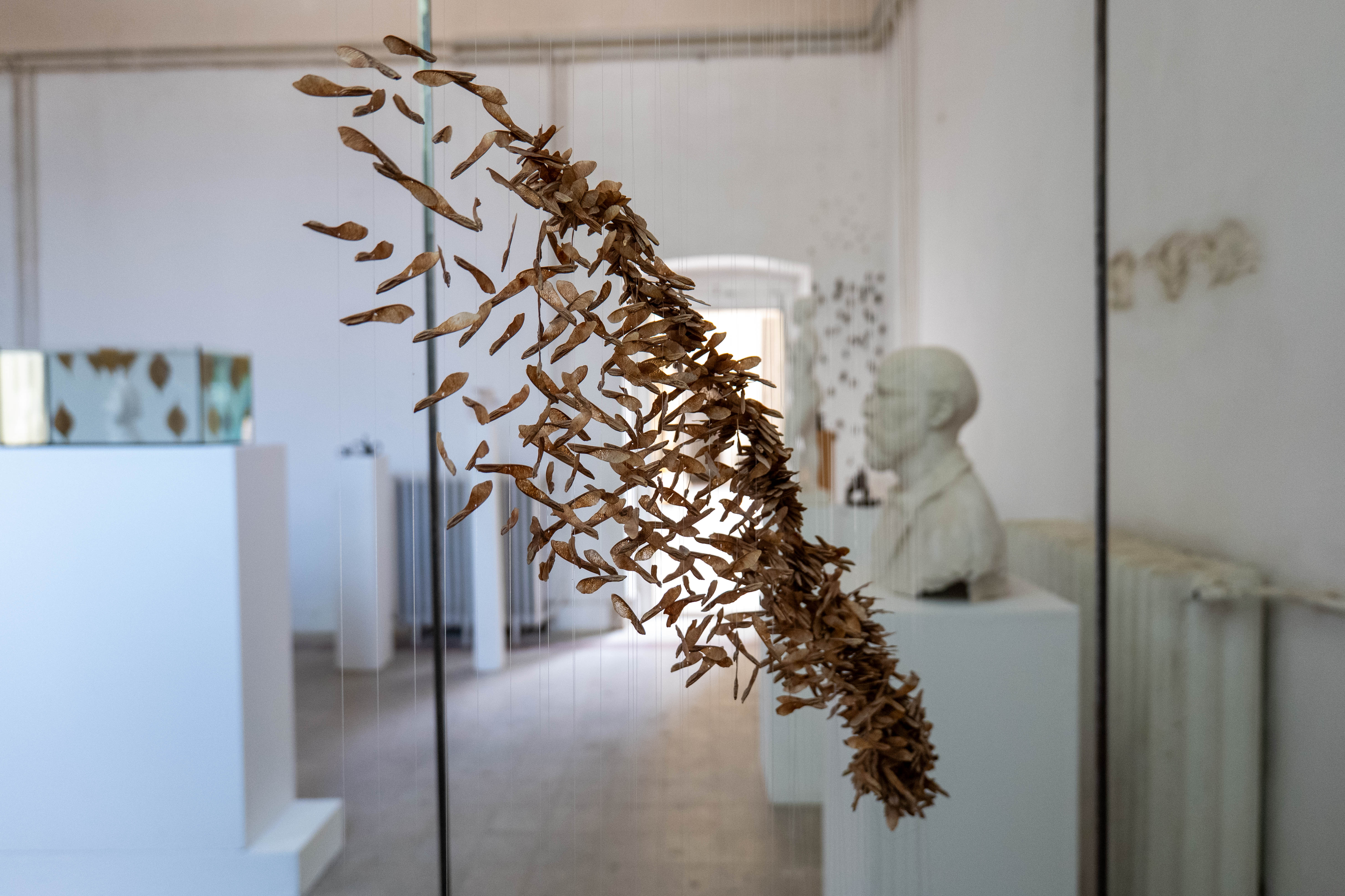 Martonosi Olivér: Ikerlependék