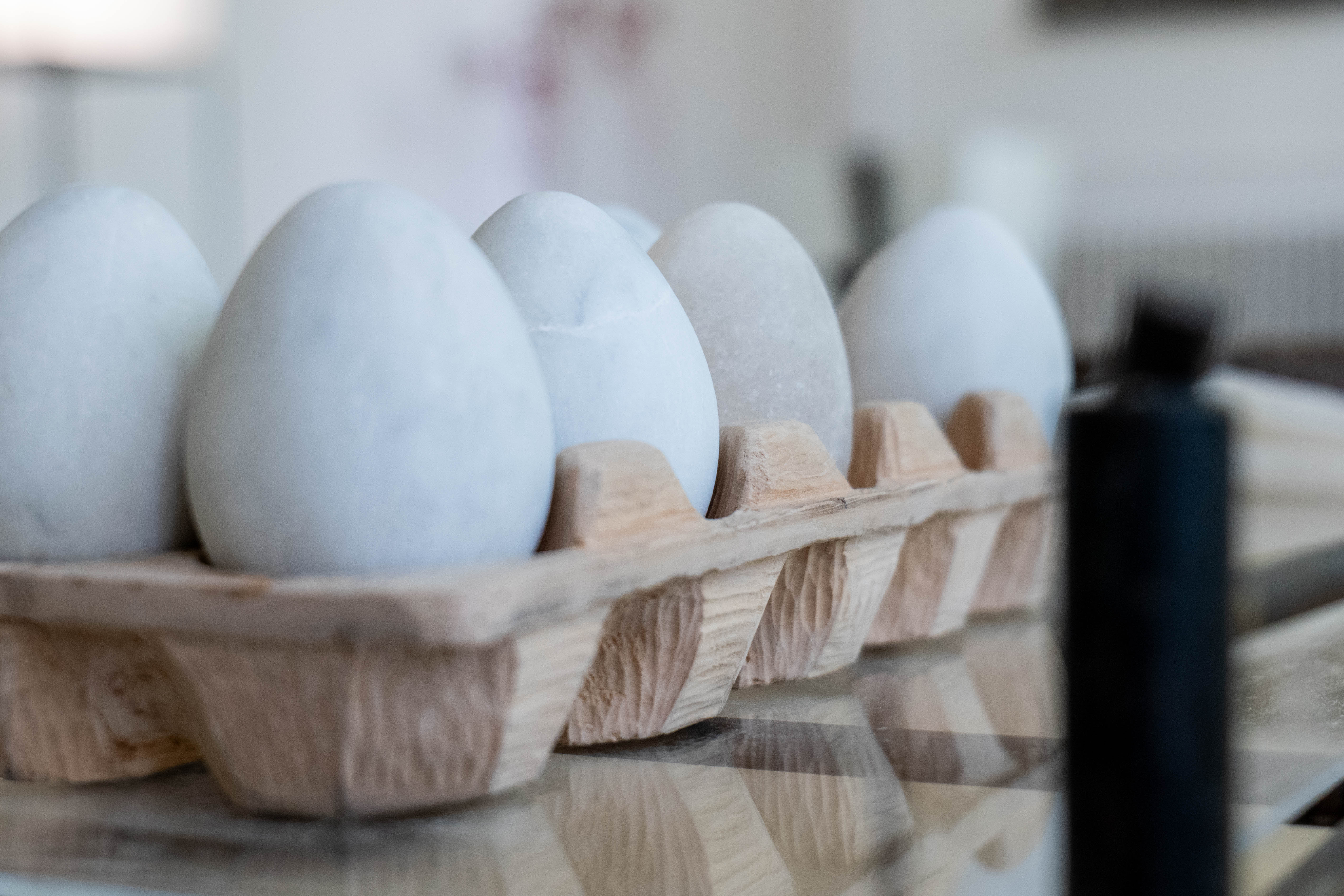 Tonté Dominik: Tojástartó