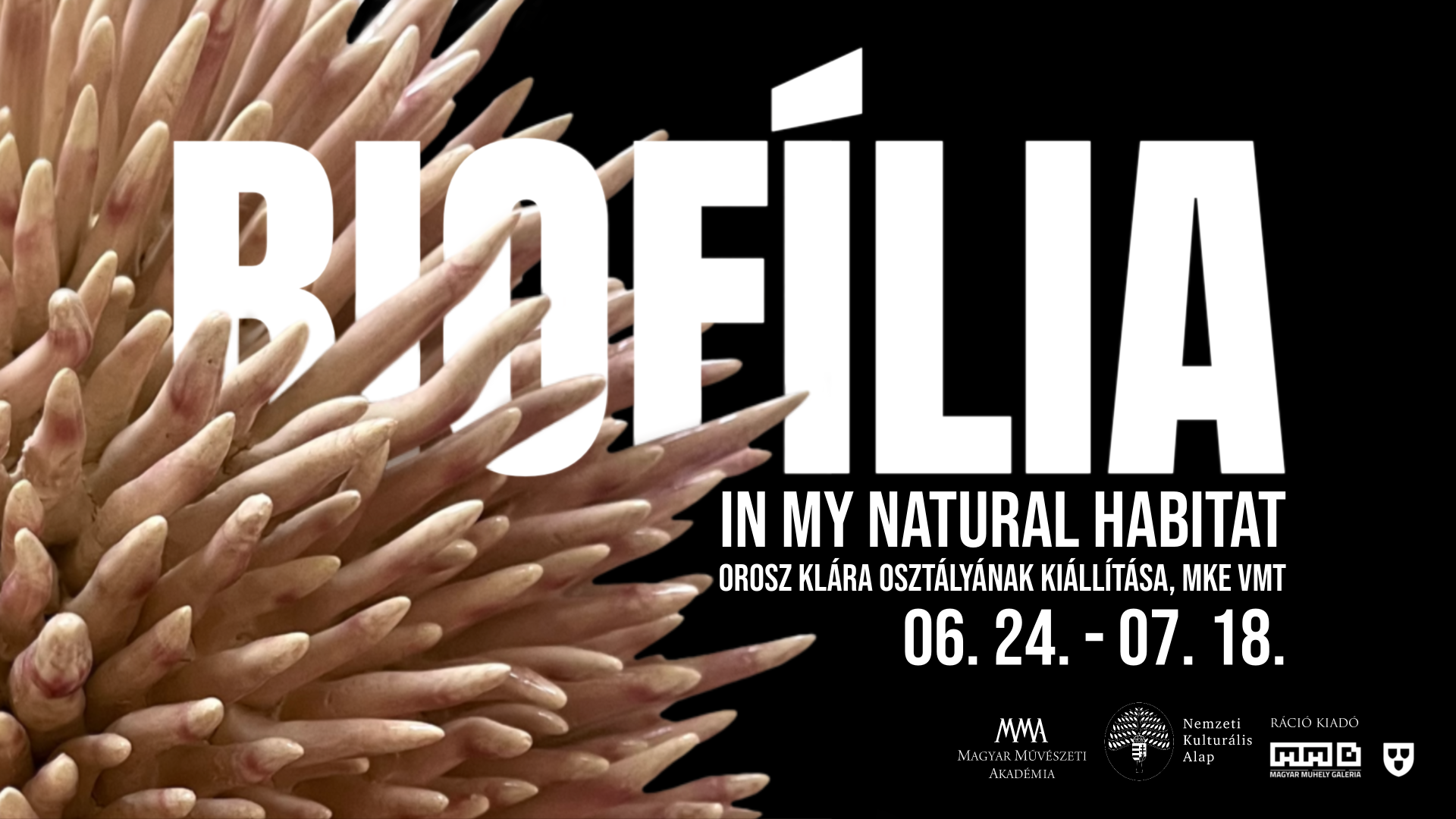 Biofília – In my natural habitat