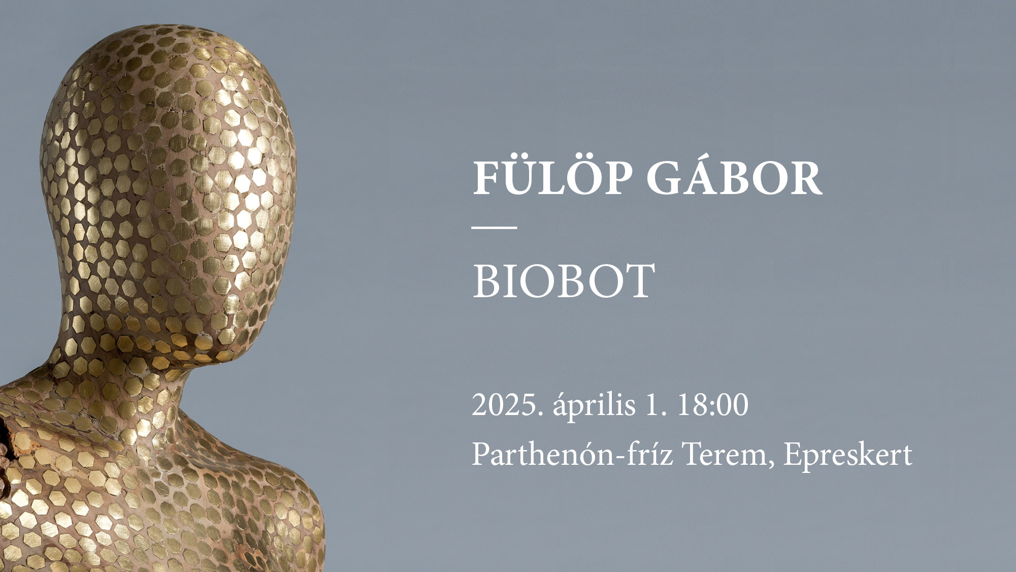 Fülöp Gábor: Biobot