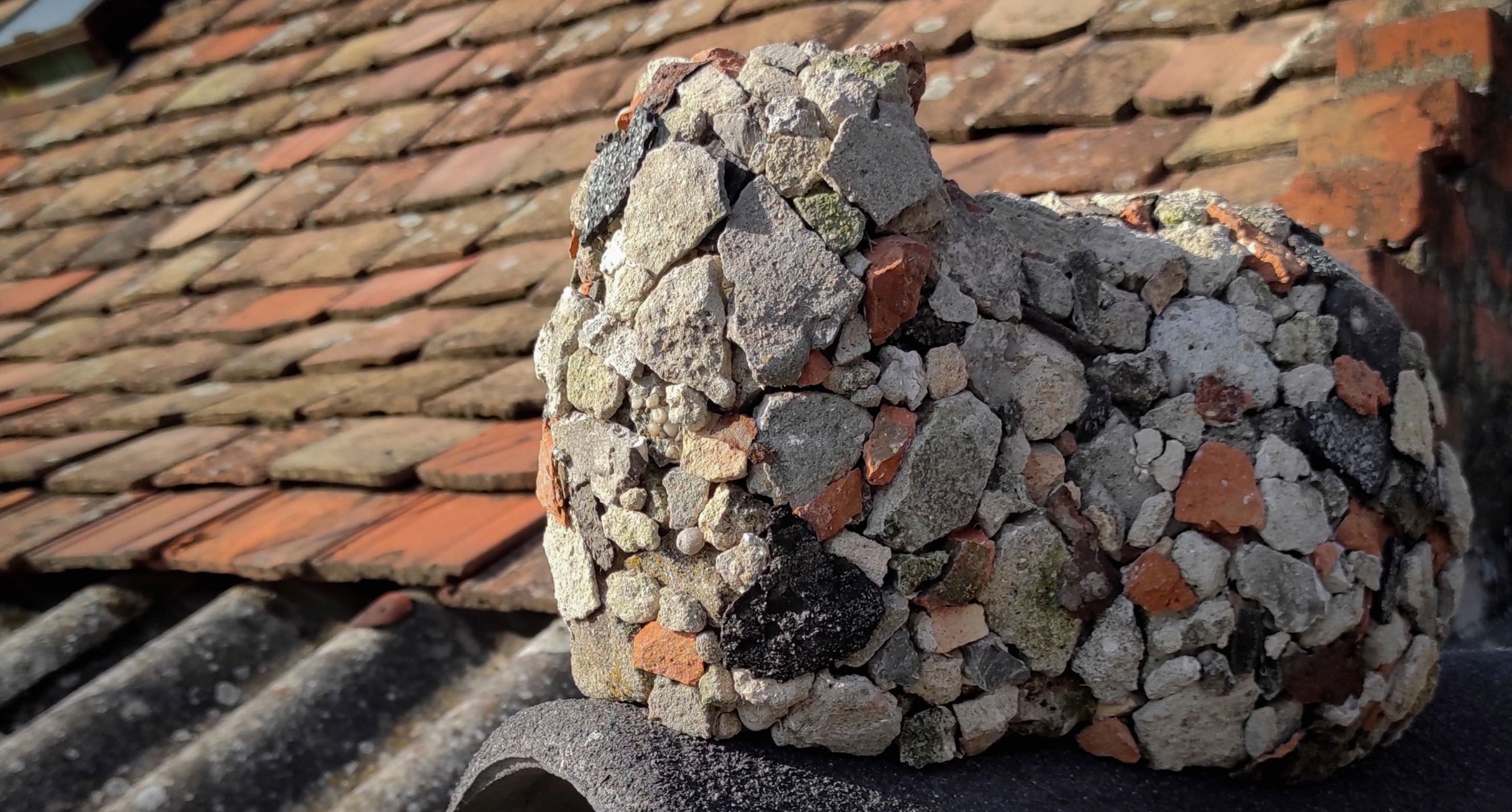 Nyári Flóra – ÉLŐ-HELY