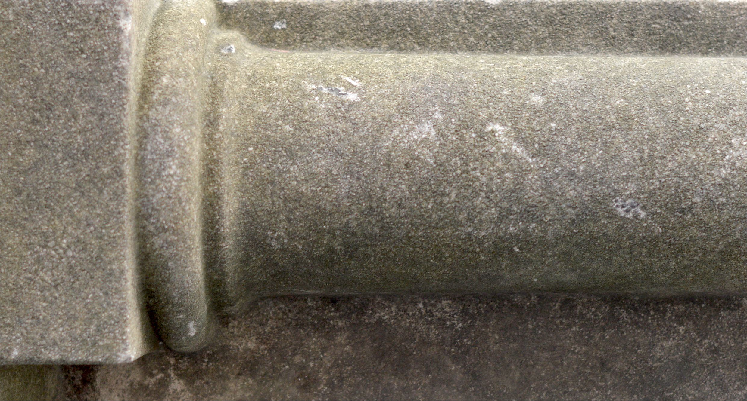 MÁRVÁNYIDŐ – Polgár Botond