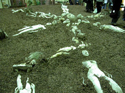 Kiss Miklós és Szigeti Gábor