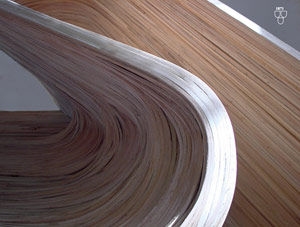 NEMES PÉTER DIPLOMAMUNKÁJA