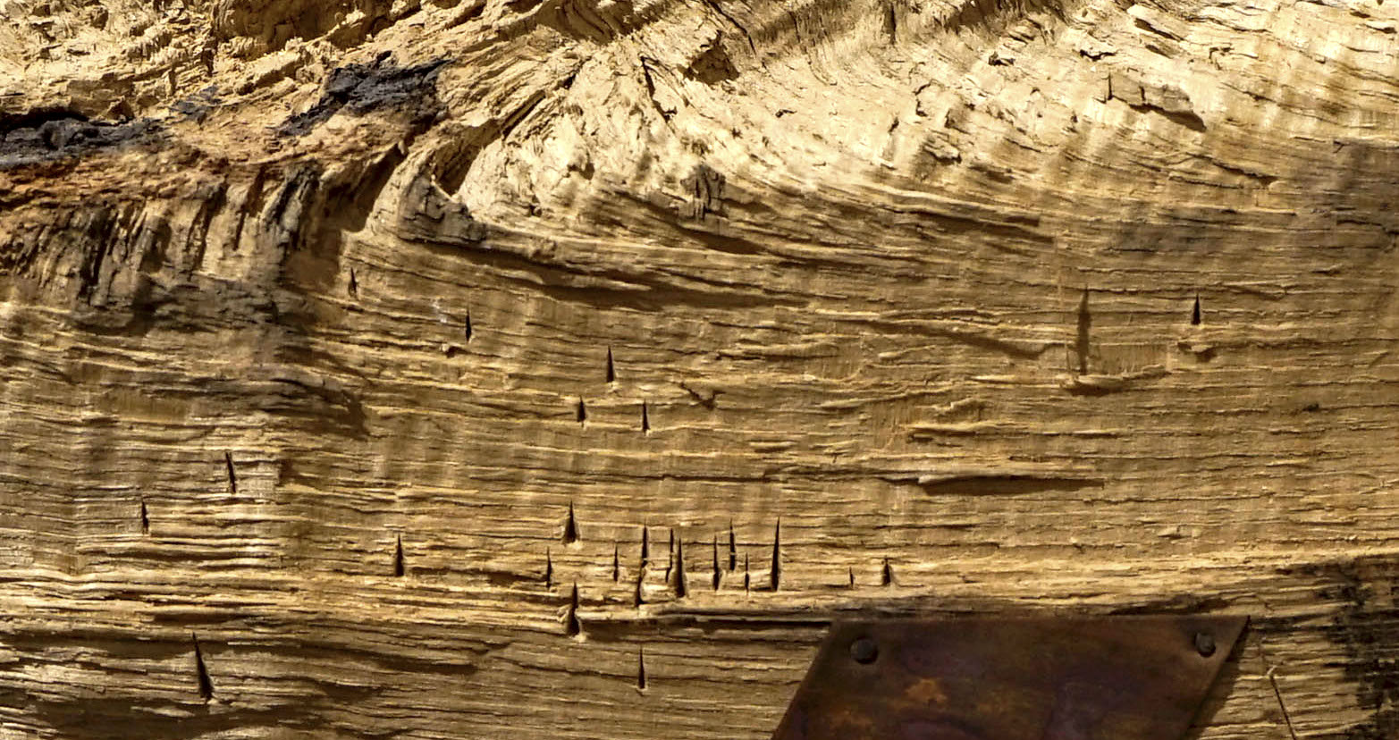 Éltes Barna – HASÍTOTT TÁJ