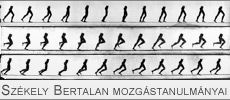 Székely Bertalan mozgástanulmányai