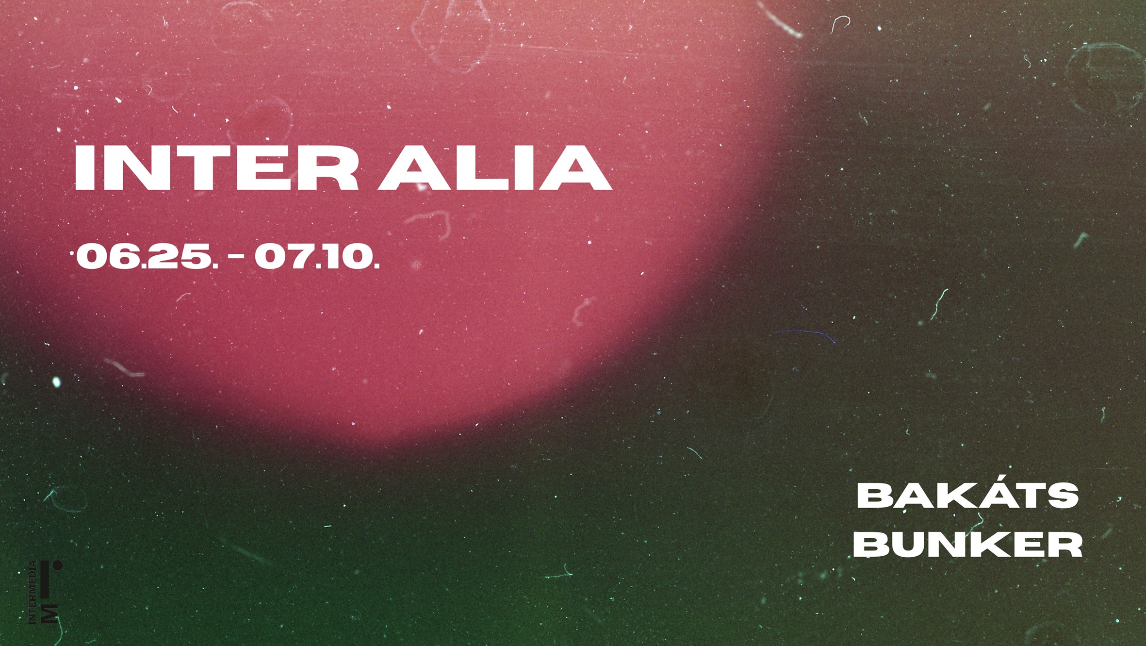 Inter Alia