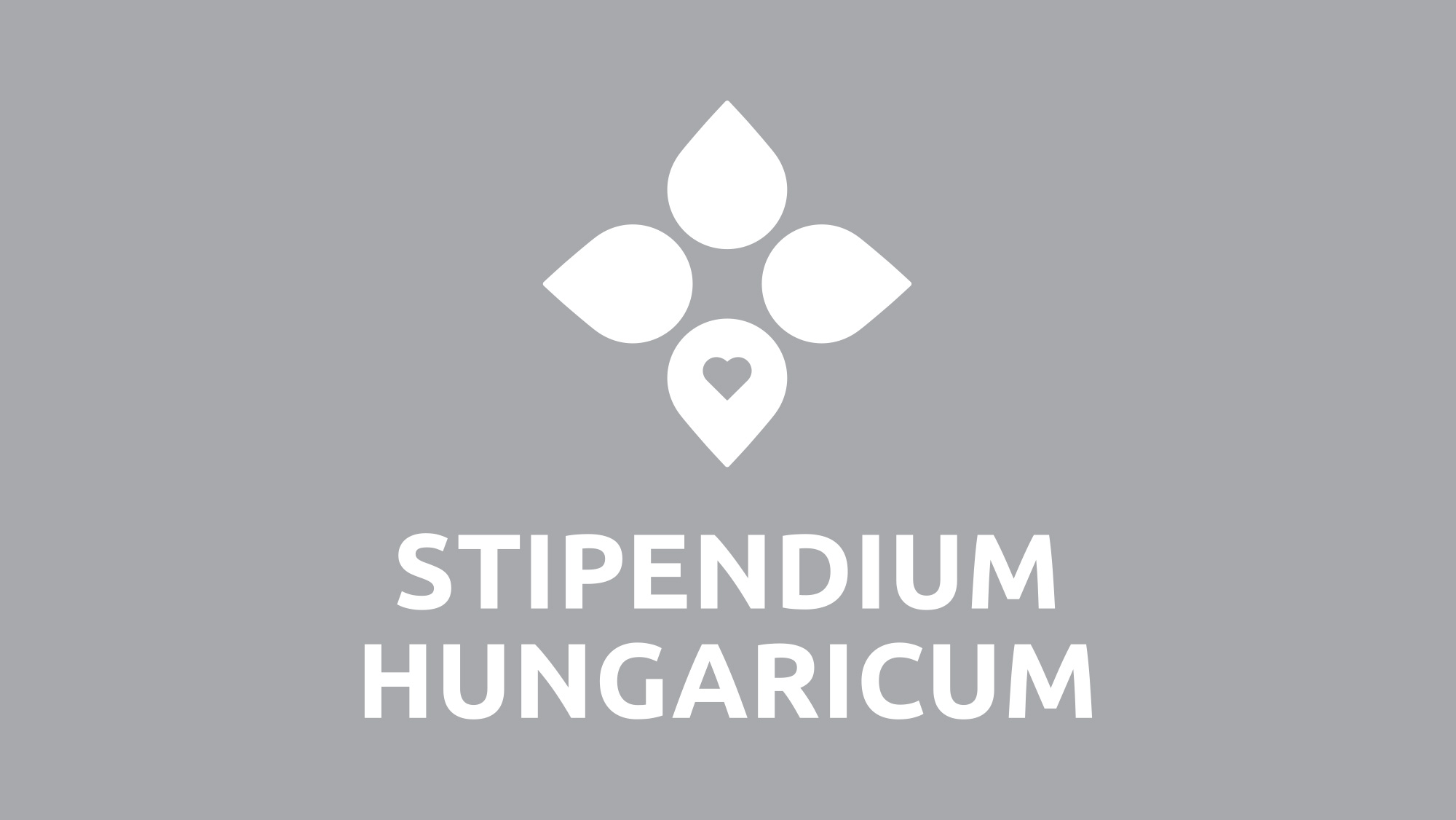 Record number of applicants for the Stipendium Hungaricum programme at The Hungarian University of Fine Arts