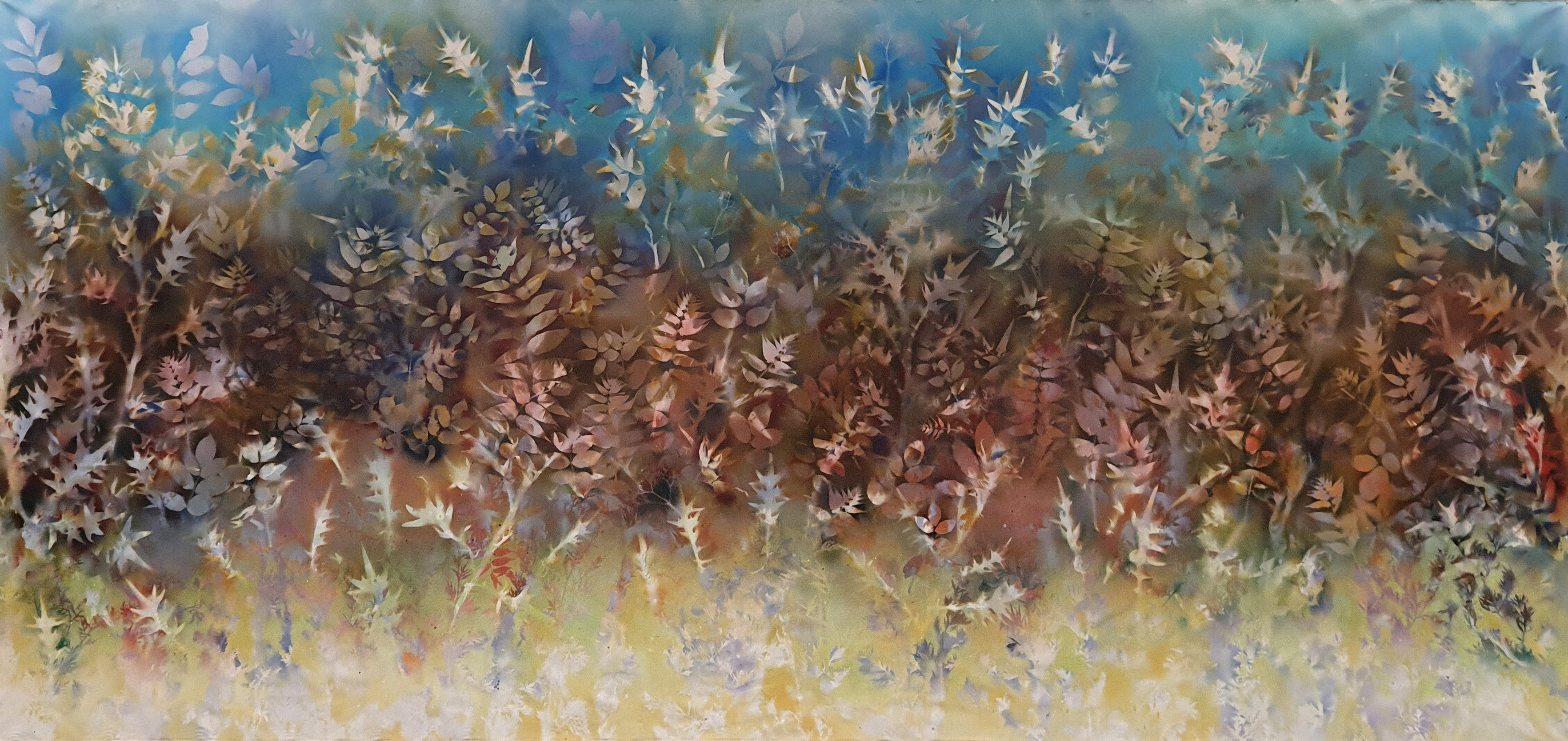 Abandoned Site at Adlergasse 7, Dresden.