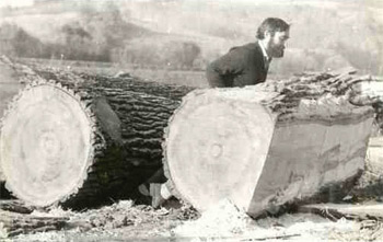 Samu Géza emlékkiállítása