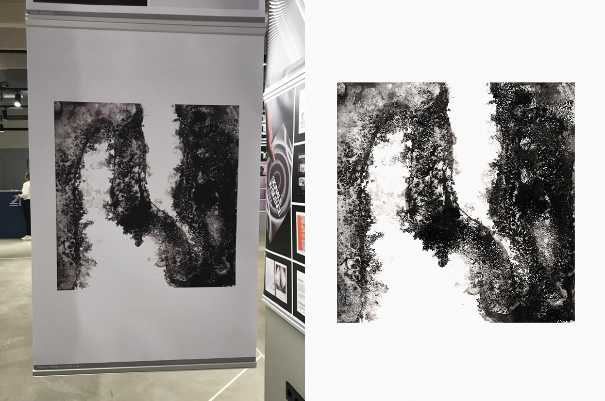 Yáhya Párwin Izabella (II. évfolyam)