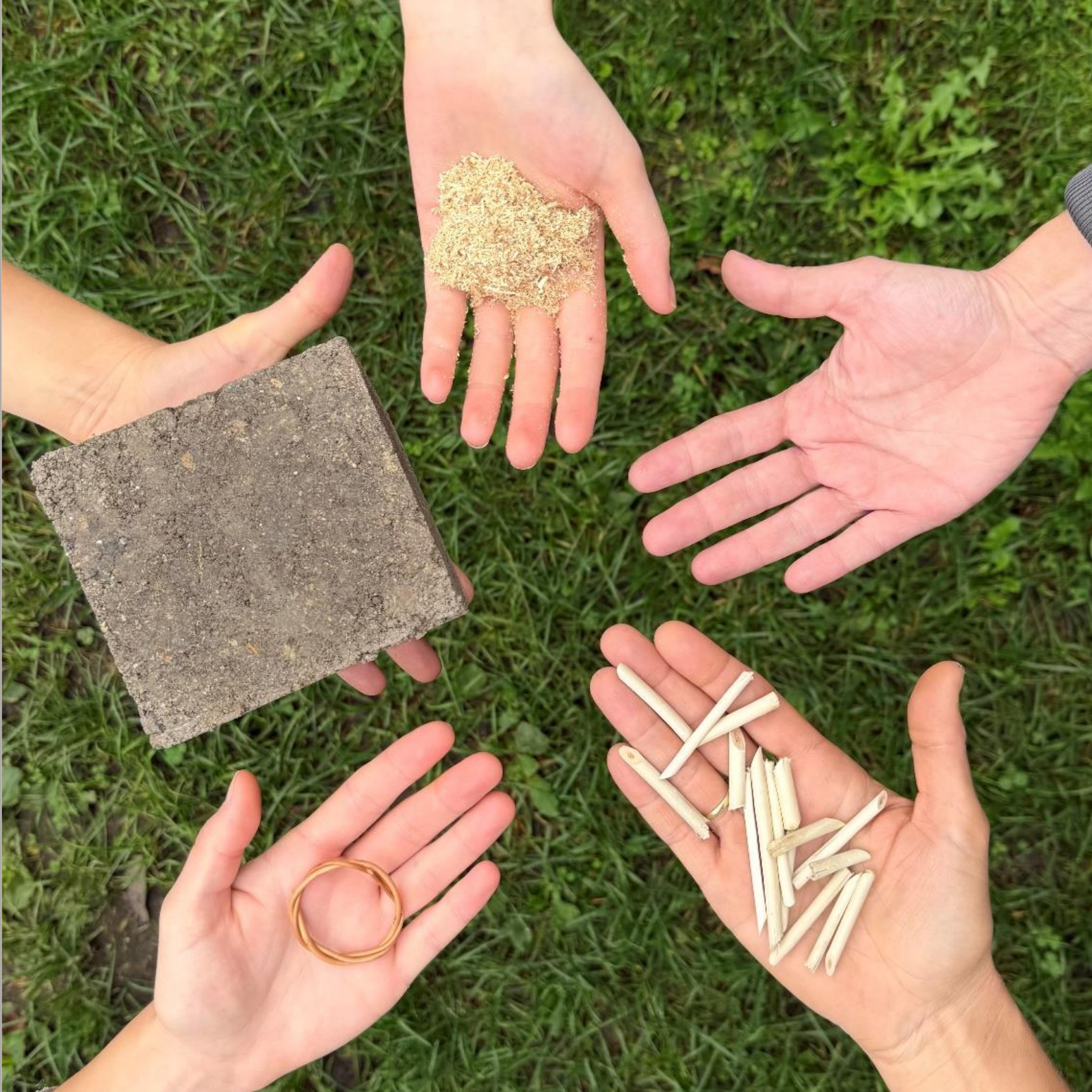 V. Természetművészeti Nyitott Műhely