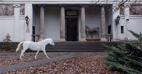 Veszely Beáta – lélekzők